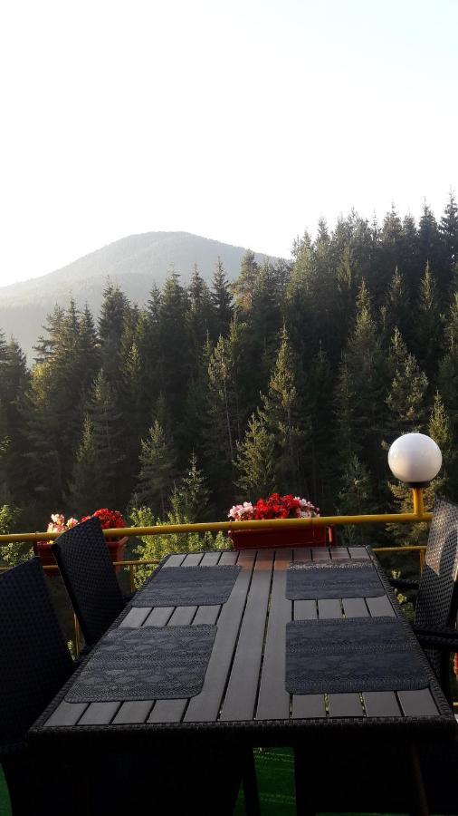 Stoletnika Guest house *