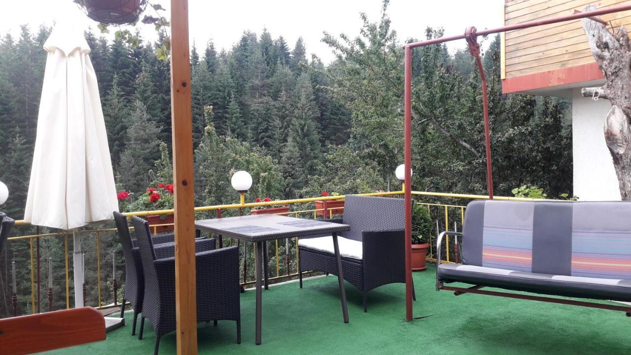 Guest house Stoletnika *